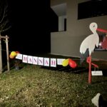 MVE-Storch gelandet